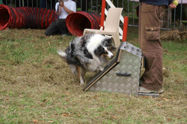 foire-haricots 2011-09-17et18